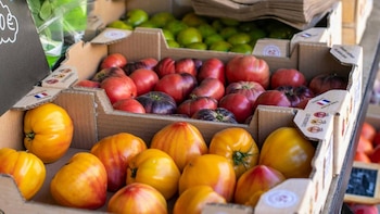 La UE acuerda reforzar el