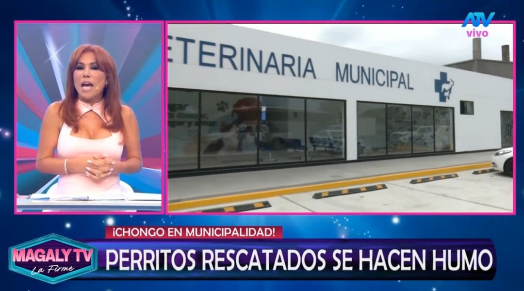 Magaly Medina cuestiona destino de perros rescatados en SJM: “¿Cómo estar seguros que no han caído nuevamente en manos inescrupulosas? Captura: Magaly TV La Firme.