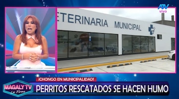 Magaly Medina cuestiona destino de perros rescatados en SJM: “¿Cómo estar seguros que no han caído nuevamente en manos inescrupulosas? Captura: Magaly TV La Firme.