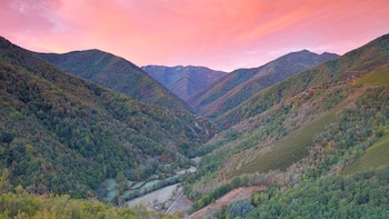 Bosque de Muniellos, en Asturias (Adobe Stock).