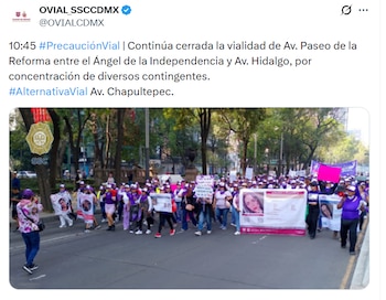 La circulación vehicular sobre Avenida Paseo de la