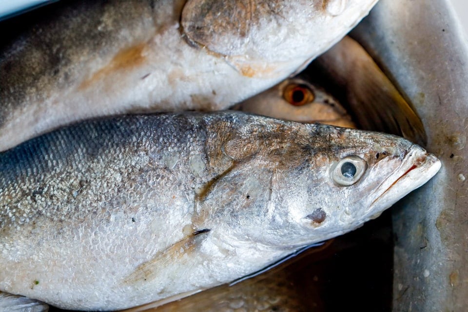 El Salvador: Asamblea Legislativa aprueba ley para fortalecer vigilancia sanitaria de alimentos de origen animal y vegetal
