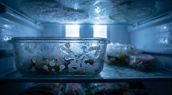 Interior de un refrigerador con un recipiente de vidrio que muestra colonias bacterianas, escarcha en superficies y una luz azul.
