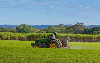 El Ministerio salvadoreño informa que