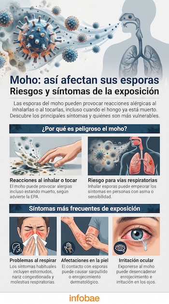 Infografía con esporas de moho, sistema respiratorio humano, mano tocando moho, pulmones inflamados, persona estornudando, brazo con sarpullido, ojo irritado, texto informativo.