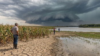 Drones y semillas especiales: el plan de El Salvador para blindar su agricultura ante la amenaza de El Niño