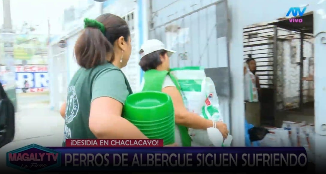 Magaly Medina pide ayuda para animales de albergue y ASPPA llega con alimentos y medicamentos. Captura: Magaly TV La Firme.