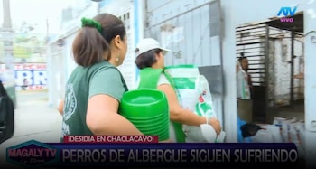 Magaly Medina pide ayuda para animales de albergue y ASPPA llega con alimentos y medicamentos. Captura: Magaly TV La Firme.