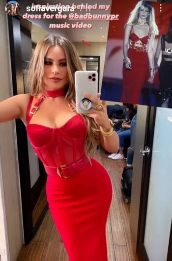 Sofía Vergara se inspira en