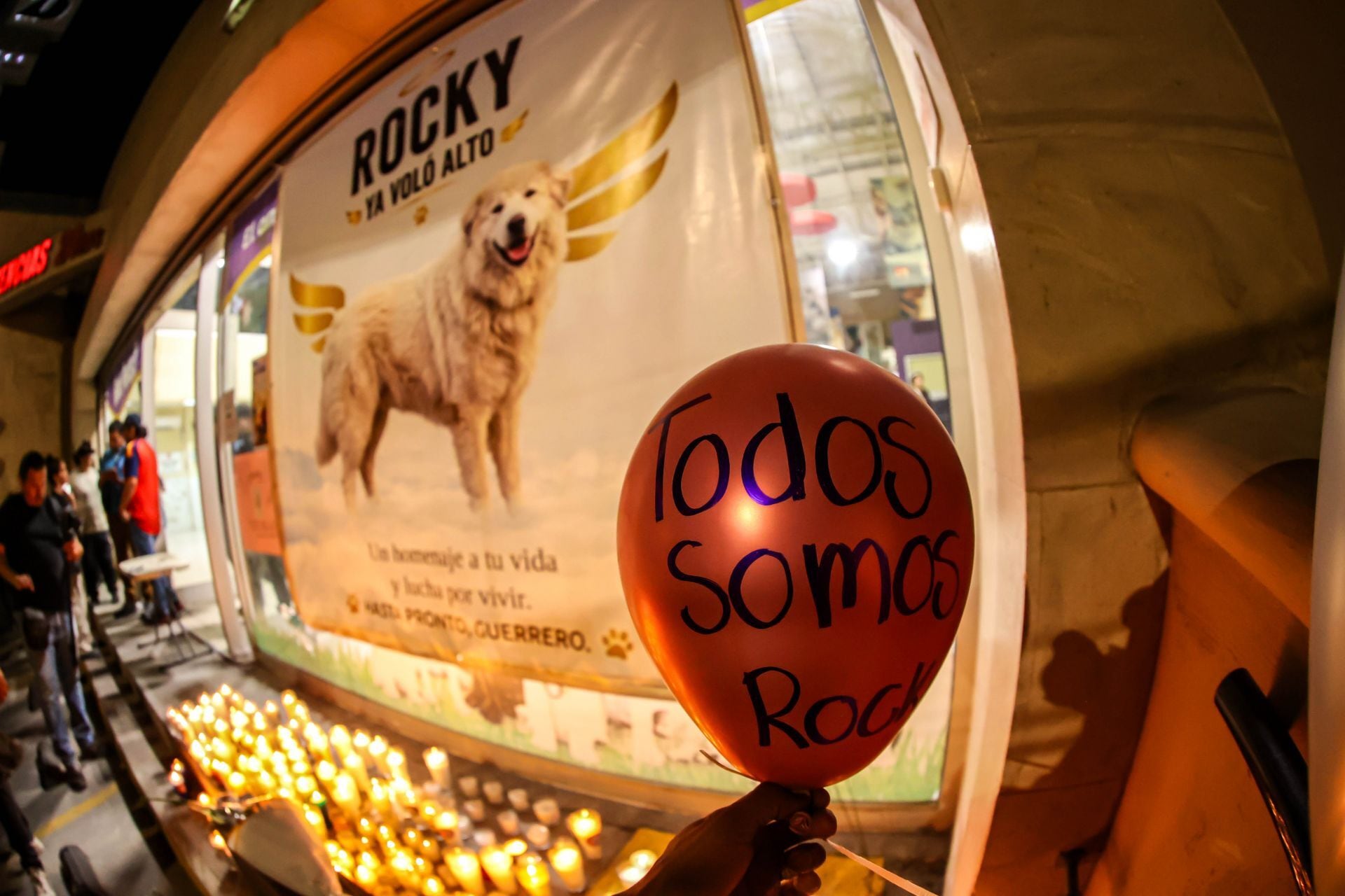 Con mariachi y veladoras: así despidieron a Rocky, el perrito asesinado tras ser arrastrado por su dueña en Saltillo
