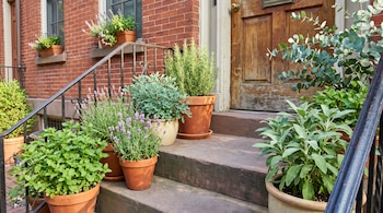 Entrada de casa de ladrillo con puerta de madera y escalera. Macetas con lavanda, menta, romero, salvia, ruda y eucalipto en los escalones.