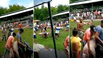 Decenas de personas roban una