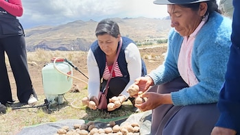 Unas 50 familias andinas vuelven