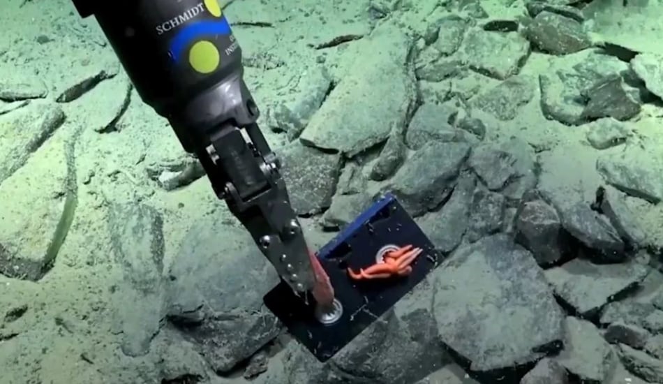 El cassette VHS hallado a 2.643 metros de profundidad fue uno de los objetos más llamativos del primer relevamiento científico de basura en el fondo del mar argentino./Instituto Oceánico Schmidt
