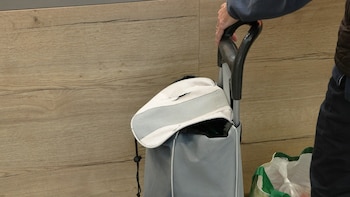 09/04/2026 Carrito de la compra en el Mercado Central de Zaragoza
ARAGÓN ESPAÑA EUROPA ZARAGOZA SOCIEDAD ECONOMIA