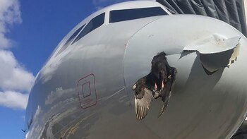 En 2022, Estados Unidos reportó