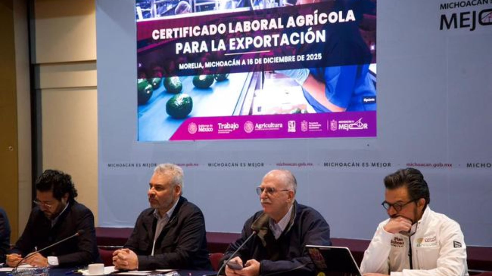 En el marco del Plan Michoacán llevarán acciones en el sector laboral del aguacate, así lo dio a conocer la secretaría de Agricultura. (Foto: Agricultura)