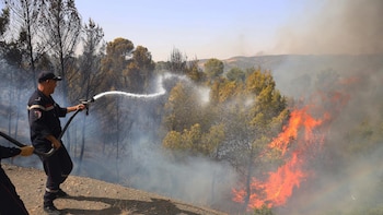 Al menos doce muertos y más de 50 quemados en incendios en el noreste de Argelia