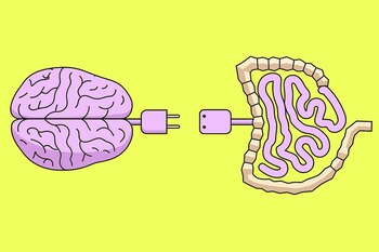 La leptina y la grelina