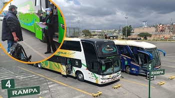 Navidad 2023: estos son los