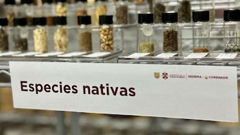 Los bancos de semillas buscan