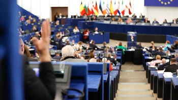 La Eurocámara pide un plan