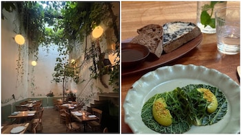 Te dejamos algunas recoemdnaciones para