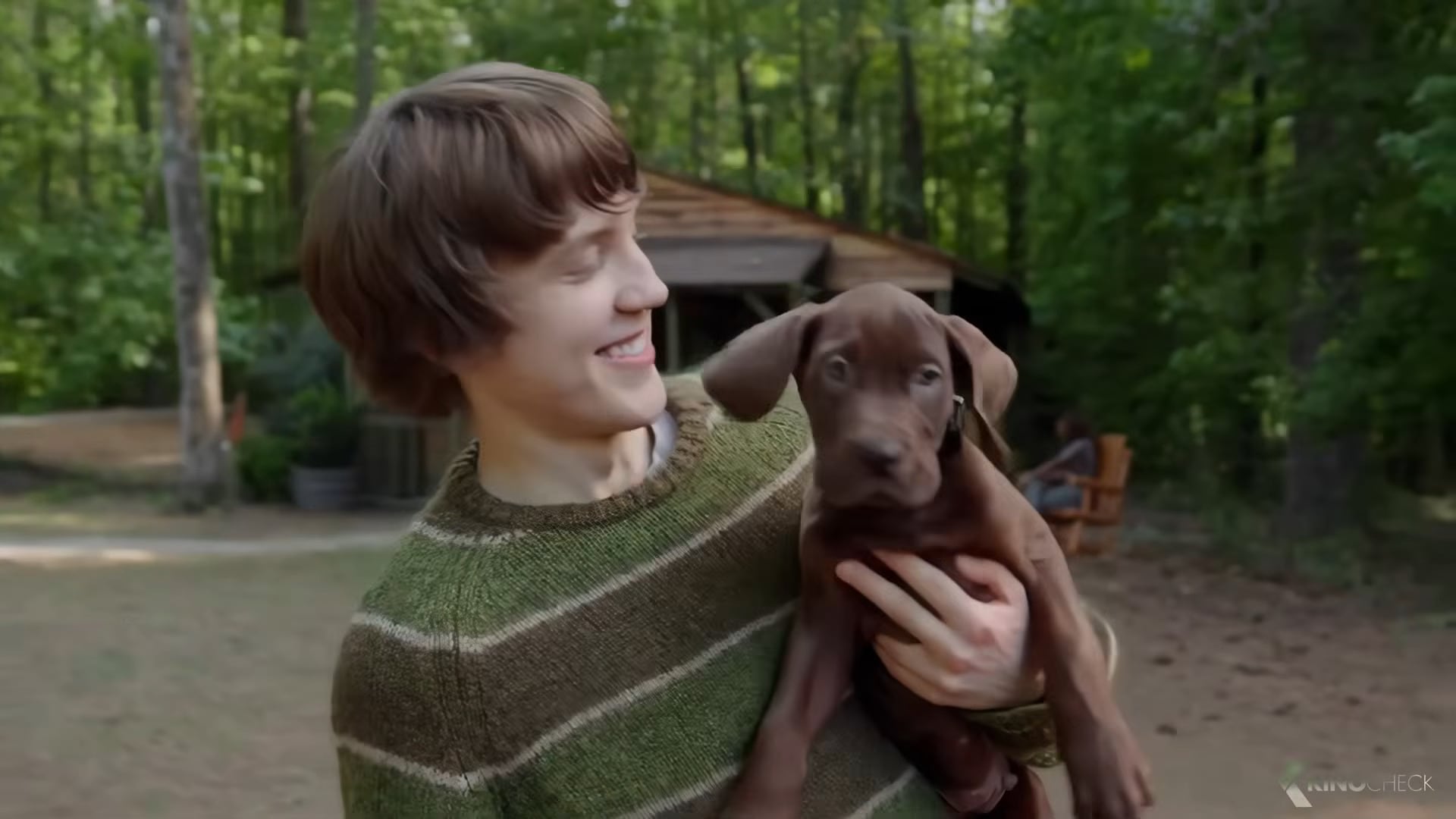 Scooby-Doo: El origen presentará por primera vez al gran danés con un perro real en pantalla, en lugar de CGI o animación digital. (Netflix)