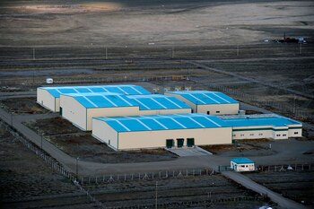 Las empresas del agro siguen