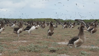 Midway es escenario de intensos