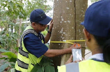 La protección de la naturaleza, una tarea impostergable, aseguran. (MiAmbiente)