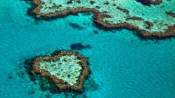 Un nuevo estudio pesimista sobre