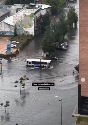 Usuarios compartieron en las redes