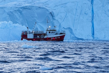 El informe de 2022 resalta