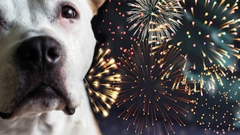 El uso de pirotecnia en