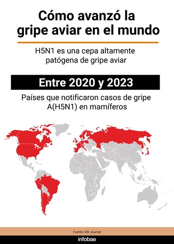Así era la distribución de