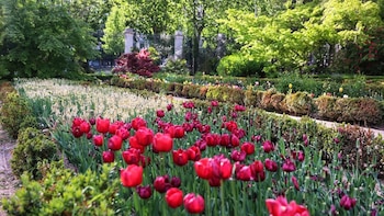 Real Jardín Botánico-CSIC