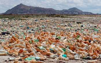Fotografía que muestra la contaminación en el lago Uru Uru en Oruro (Bolivia). EFE/ Martin Alipaz/Archivo