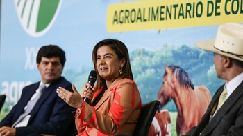 Gobierno nacional ha logrado comprar