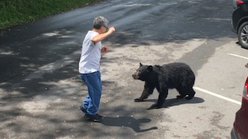 Un hombre con camiseta blanca y jeans azules de pie con los brazos levantados frente a un oso negro en un estacionamiento pavimentado. Se ven autos estacionados al fondo