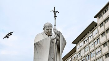 El papa agradece a médicos