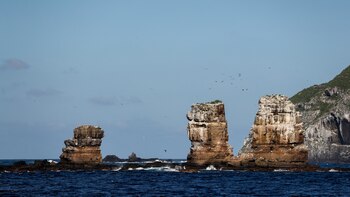 Las torres de Darwin, la
