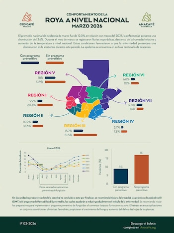 Las fincas con manejo preventivo en la Región III de Guatemala reportaron 15,7 % de incidencia de roya, frente al 51,5 % en parcelas sin manejo. (Cortesía: Anacafé Guatemala)