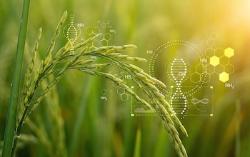 A diferencia de otras especies,