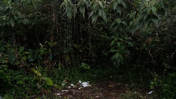 Fiscalía pide 33 años de