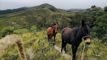 Efemérides – Efemérides en Perú – Qué se celebra – Perú – noticias – 21 abril