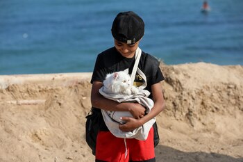 Un niño palestino, que fue desplazado por la ofensiva militar de Israel con su familia en el sur de Gaza, sostiene un gato (REUTERS/Ramadan Abed)