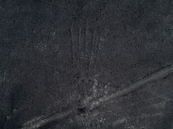 Su estudio y conservación es