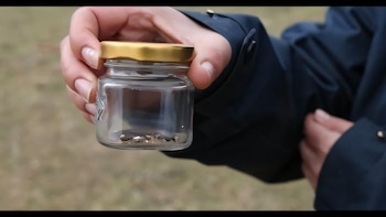 Los investigadores orientaron el entrenamiento de los caninos hacia la búsqueda directa de los reptiles en sus refugios (Rick Hammond/Zoos Victoria)