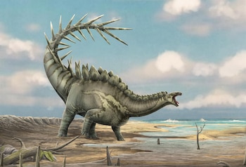 Imagen SLBXYJ23OVCWBFEO45DAFT4MUQ